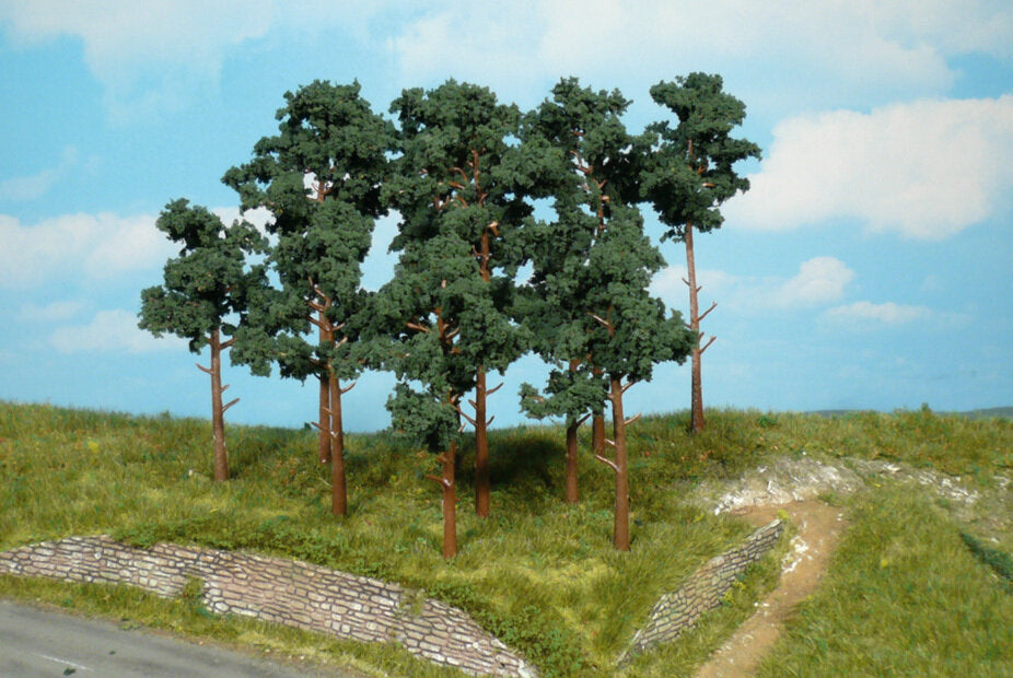 Heki 1413 - 14 Dennenbomen - 10-16 cm