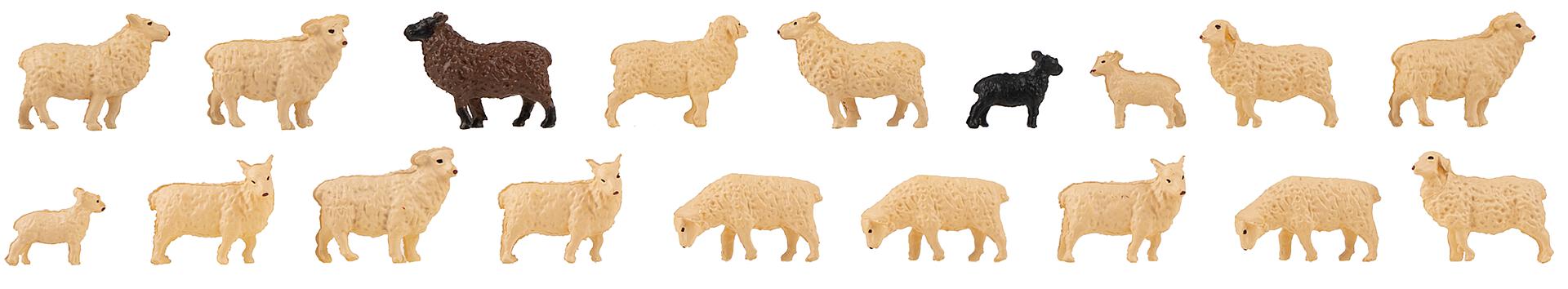 Faller H0 - 151917 - Set van 18 Figuren - Schapen