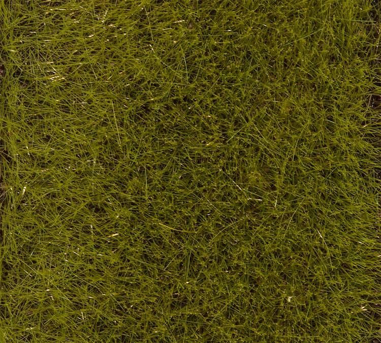 Faller 170772 - Strooimateriaal - Grasvezels - Vroege Zomerweide - 30 g
