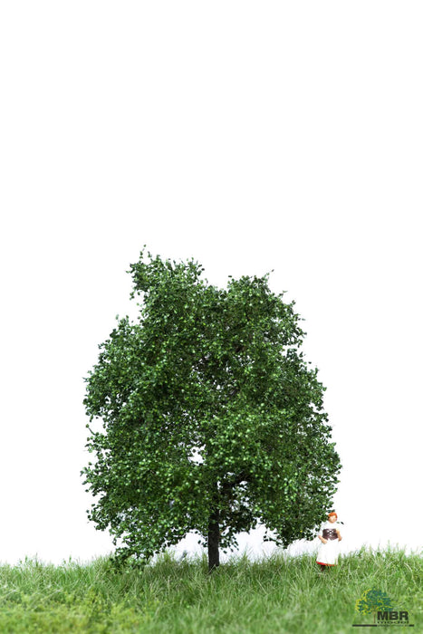 MBR 51-2103 - Boom (Eik) Groen - 6-10cm