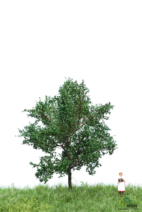 MBR 51-2106 - Boom (Canadese Populier) Groen - 6-10cm