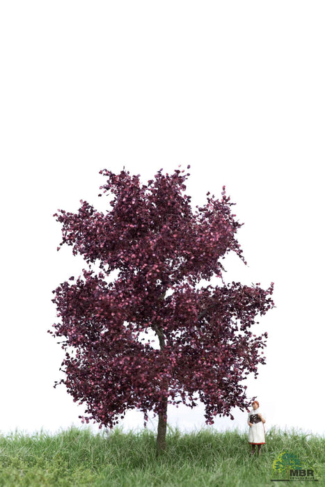 MBR 51-2114 - Boom (Beuk) Rood - 6-10cm