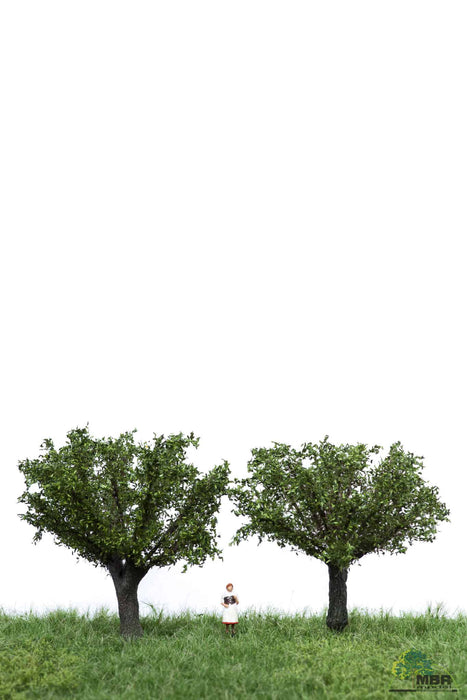 MBR 51-2308 - Boom (Wilg) Groen - 6-10cm - 2 Stuks