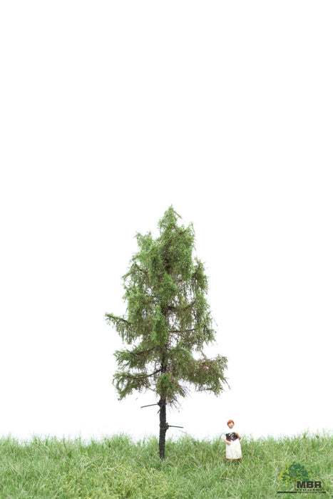 MBR 51-4102 - Boom (Boslariks) Groen - 6-10cm