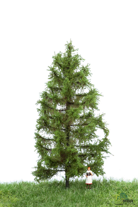 MBR 51-4203 - Boom (Lariks) Groen - 12-16cm