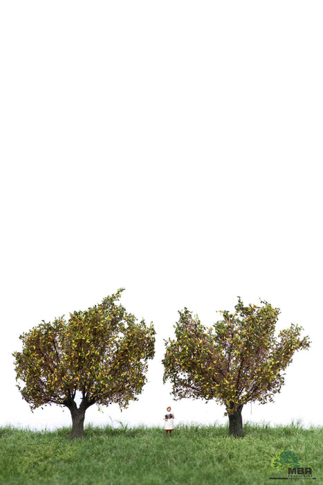 MBR 52-2308 - Boom (Wilg) Herfst - 6-10cm - 2 Stuks