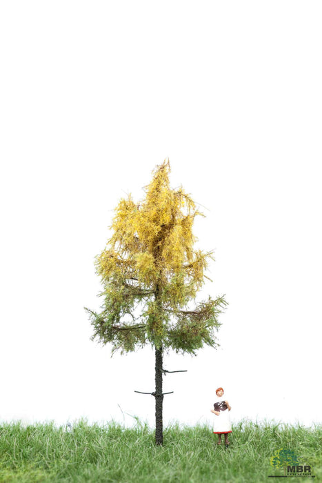 MBR 52-4102 - Boom (Boslariks) Herfst - 6-10cm