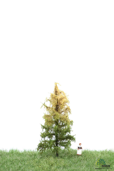 MBR 52-4103 - Tree (Larch) Autumn - 6-10cm