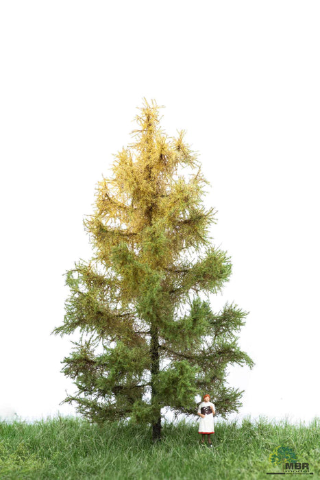 MBR 52-4203 - Boom (Lariks) Herfst - 12-16cm