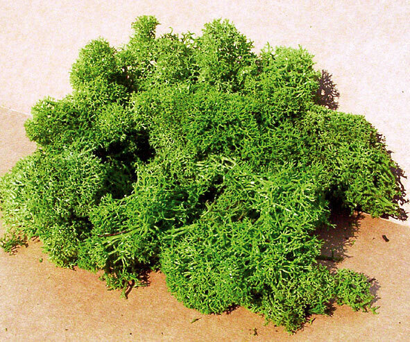 Heki 3210 - IJslands Mos 30g - Lichtgroen