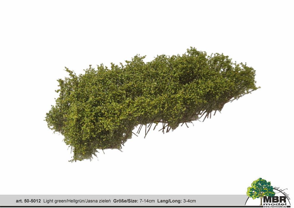 MBR 50-5012 - Struikgewas Lichtgroen - 7-14cm x 3-4cm