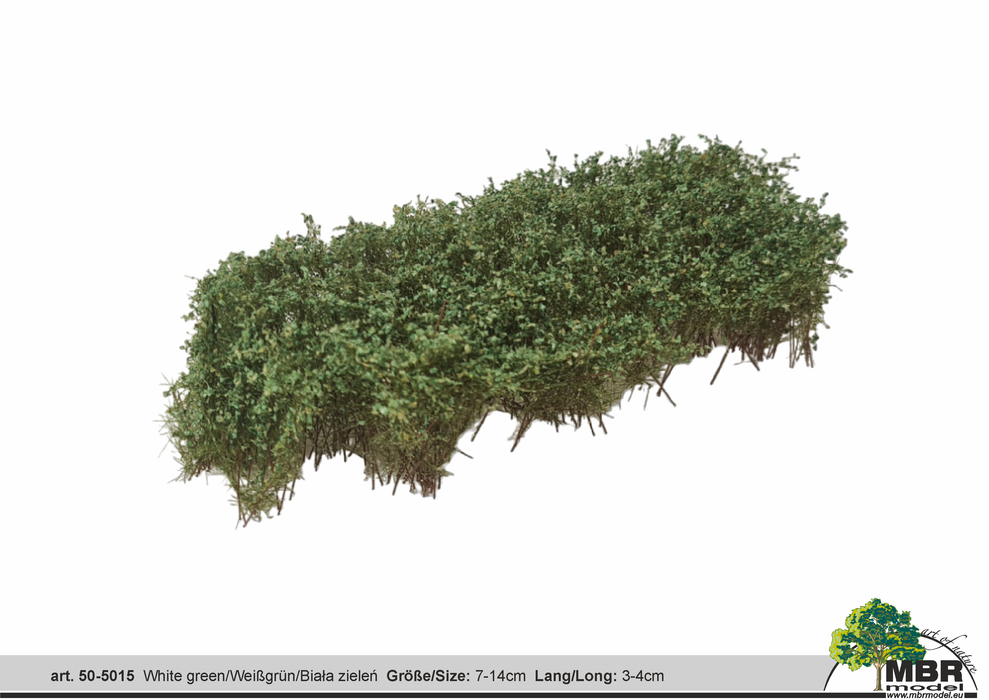 MBR 50-5015 - Struikgewas Witgroen - 7-14cm x 3-4cm