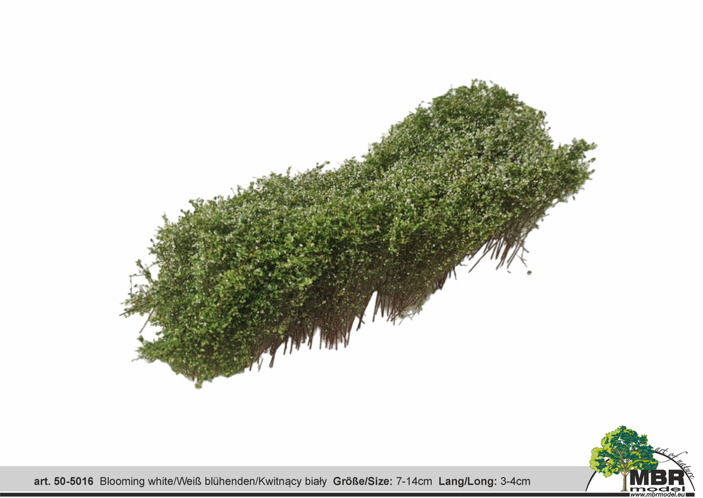 MBR 50-5016 - Struikgewas Bloeiend Wit - 7-14cm x 3-4cm