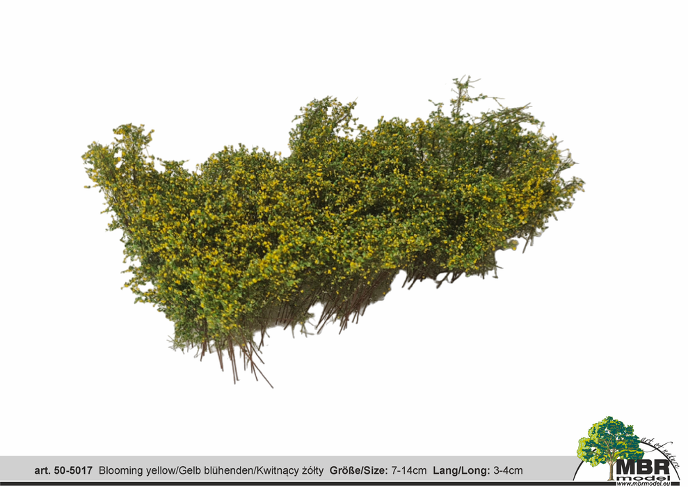 MBR 50-5017 - Struikgewas Bloeiend Geel - 7-14cm x 3-4cm