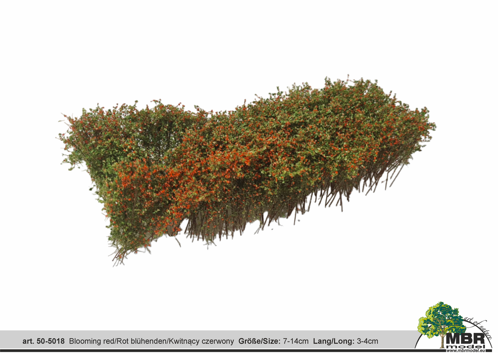 MBR 50-5018 - Struikgewas Bloeiend Rood - 7-14cm x 3-4cm