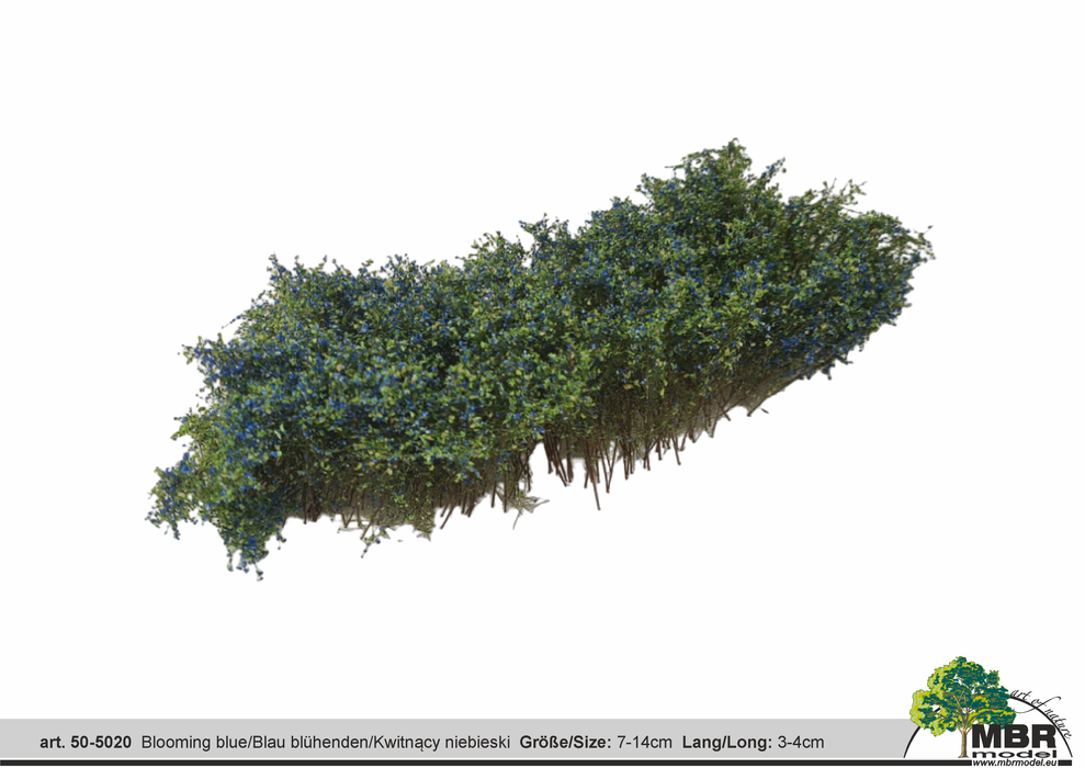 MBR 50-5020 - Struikgewas Bloeiend Blauw - 7-14cm x 3-4cm
