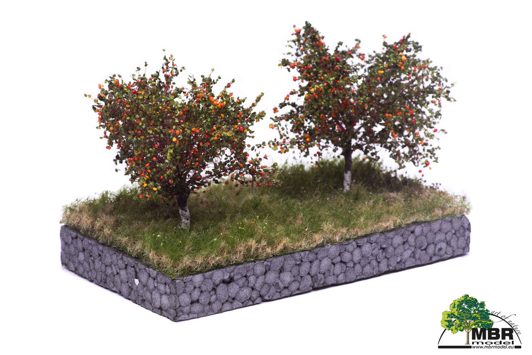 MBR 51-2304 - Appelboom 7cm - 2 Stuks