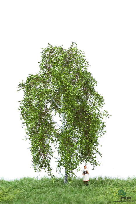 MBR 51-2201 - Boom (Berk) Groen - 12-16cm