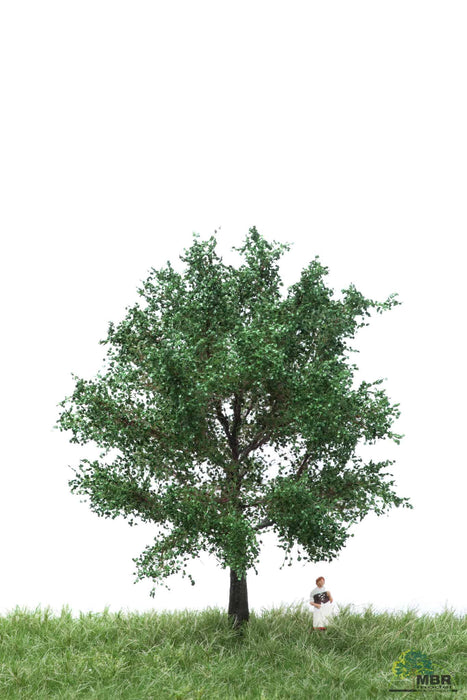 MBR 51-2206 - Boom (Canadese Populier) Groen - 12-16cm