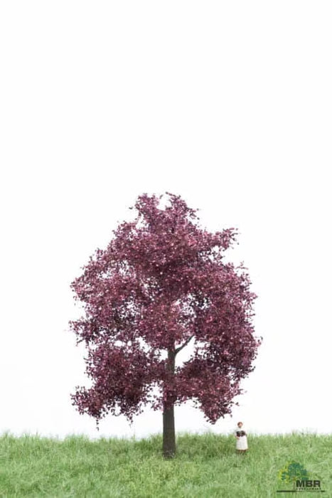 MBR 51-2214 - Boom (Berk) Rood Paars - 12-16cm