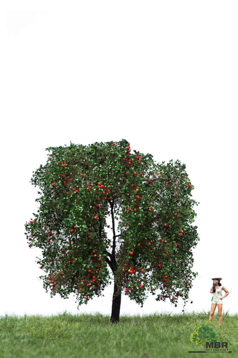 MBR 51-2404 - Appelboom Rood - 12-16cm
