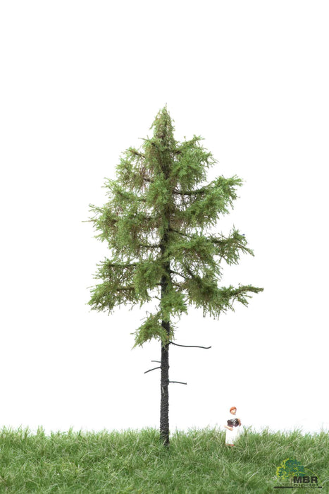 MBR 51-4202 - Boom (Spar) Groen - 12-16cm