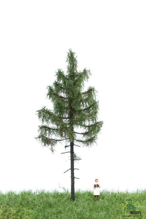 MBR 51-4205 - Boom (Bosspar) Groen - 12-16cm