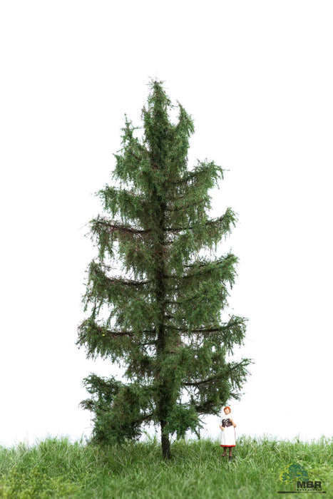 MBR 51-4206 - Boom (Spar) Groen - 12-16cm