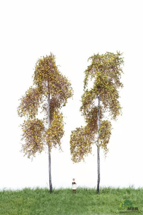 MBR 52-2313 - Boom (Stekelbos) Herfst - 18-22 cm - 2 Stuks
