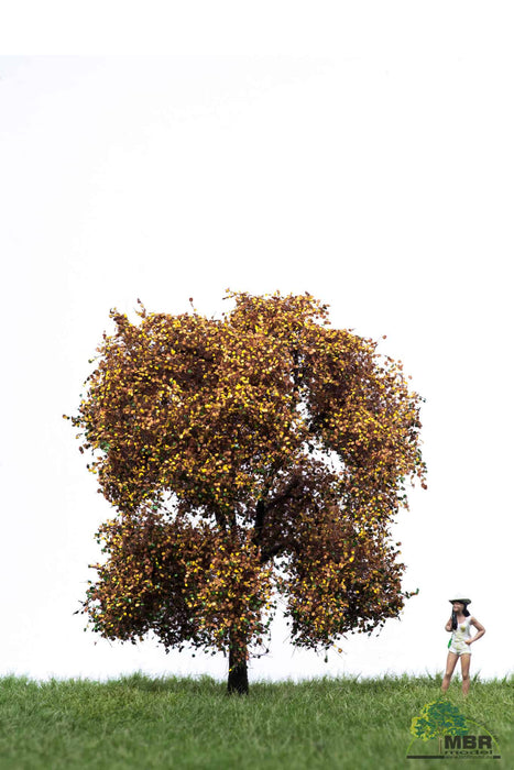 MBR 52-2404 - Boom (Appelboom) Herfst - 12-16cm