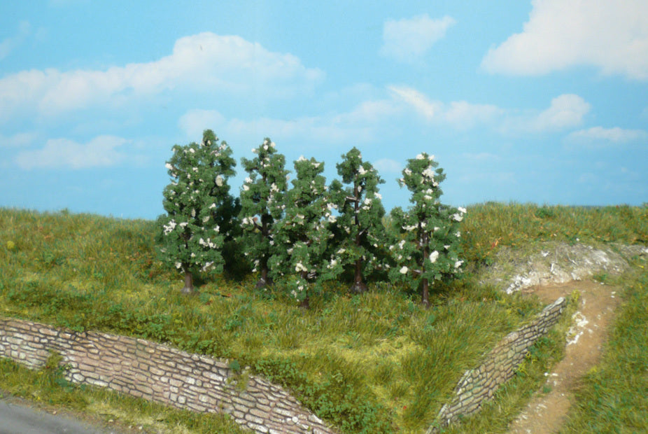 Heki 1172 - 6 x Perenbomen - Bloeiend - 6 cm
