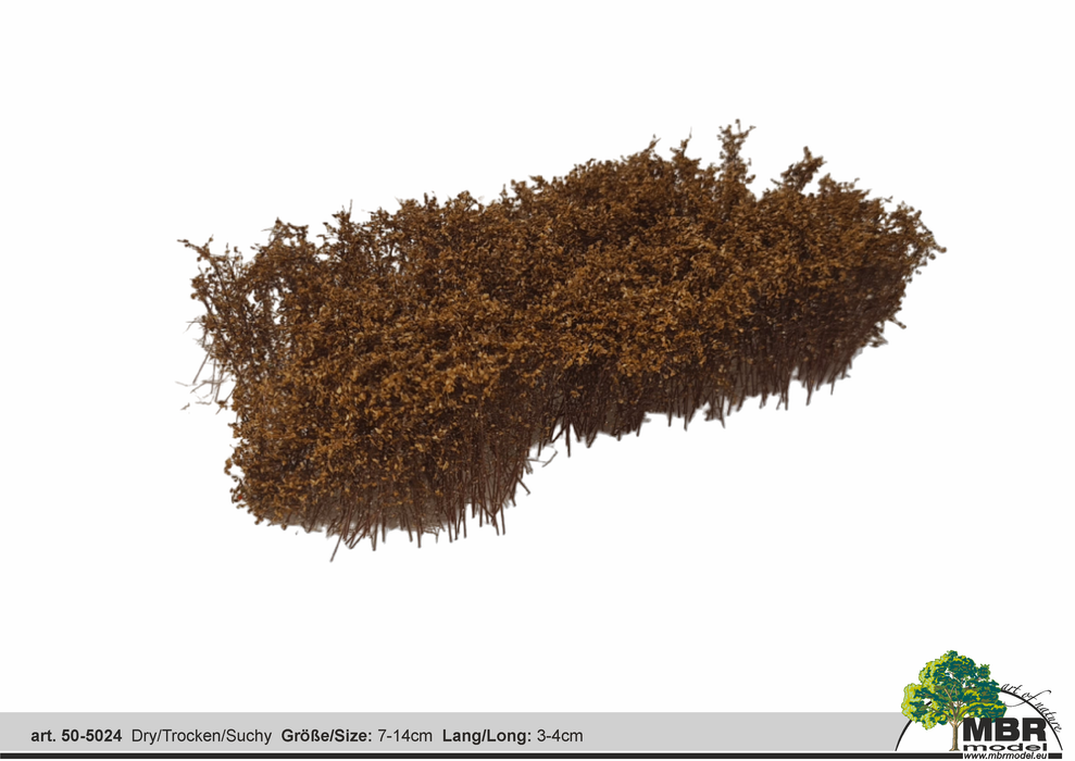 MBR 50-5023 – Oranger Strauch – 7–14 cm x 3–4 cm