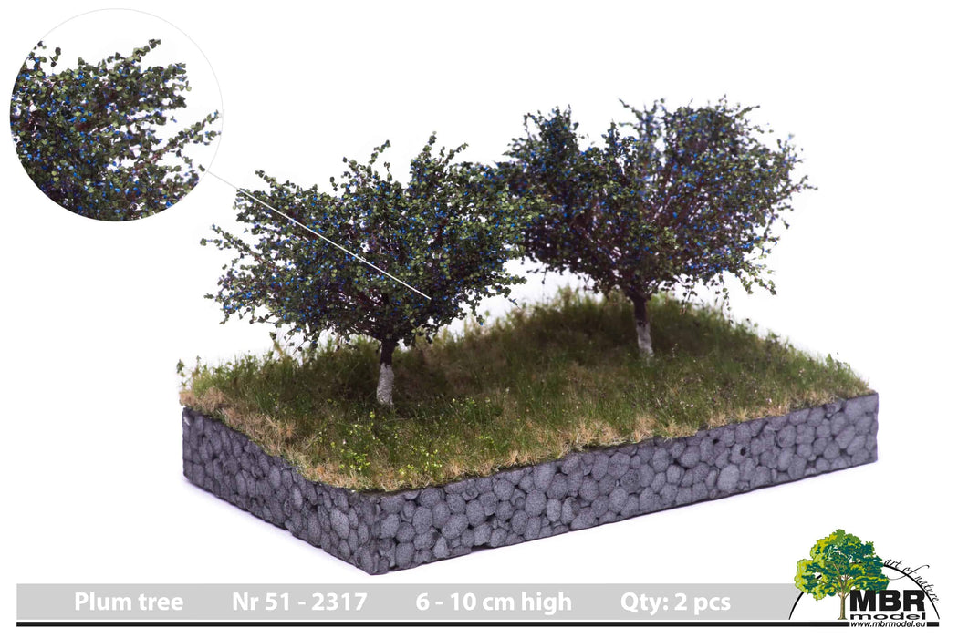 MBR 51-2317 - Pflaumenbaum - 7cm - 2 Stück
