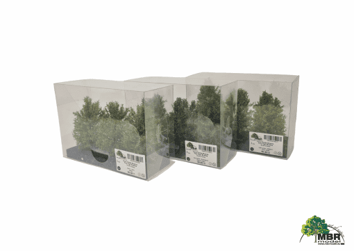 MBR 50-4018 - Hoge Struiken Lichtgeel - 7-11cm - 3 Stuks