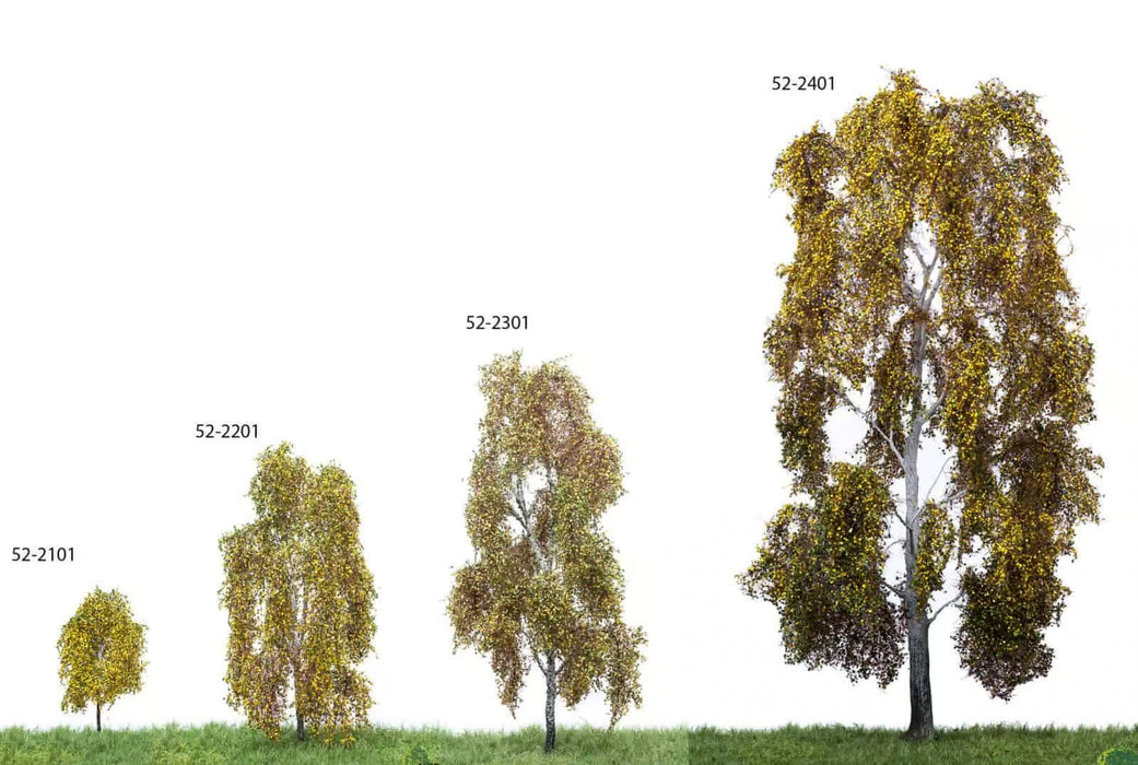 MBR 52-2201 - Boom (Berk) Herfst - 12-16cm