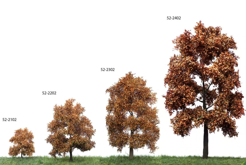 MBR 52-2202 - Boom (Beuk) Herfst - 12-16cm