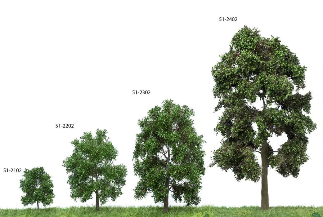 MBR 51-2102 - Boom (Berk) Groen - 6-10cm