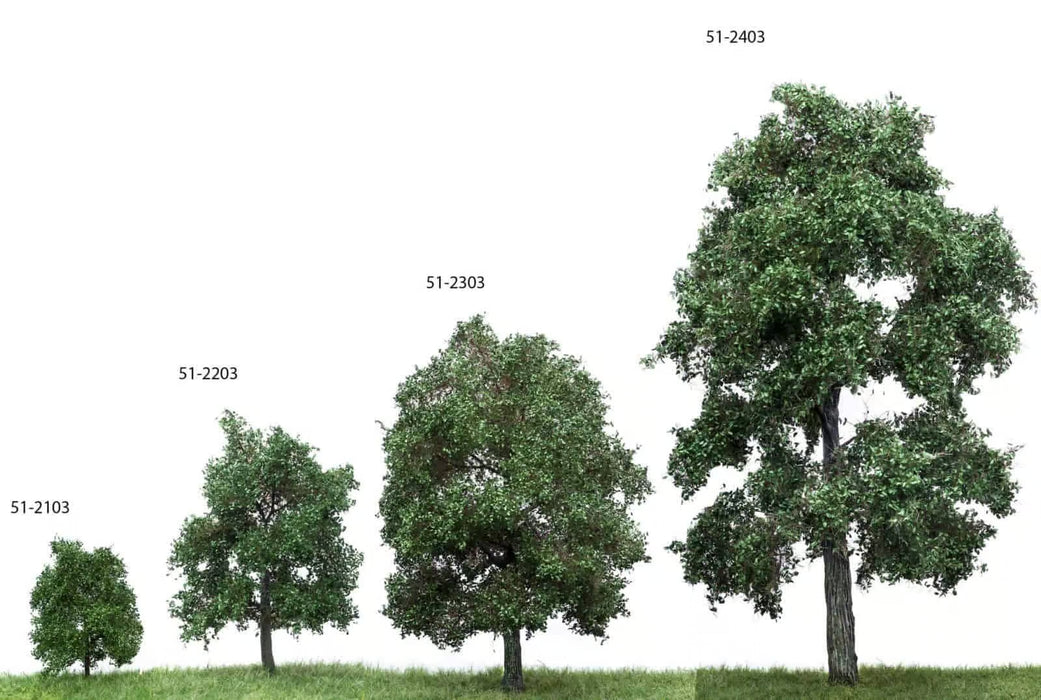 MBR 51-2203 - Boom (Eik) Groen - 12-16cm