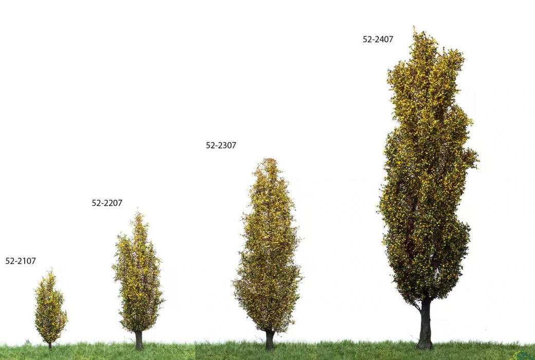 MBR 52-2207 - Boom (Italiaanse Populier) Herfst - 12-16cm