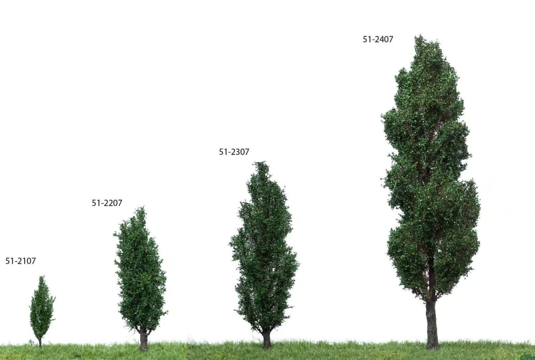MBR 51-2207 - Boom (Italiaanse Populier) Groen - 12-16cm